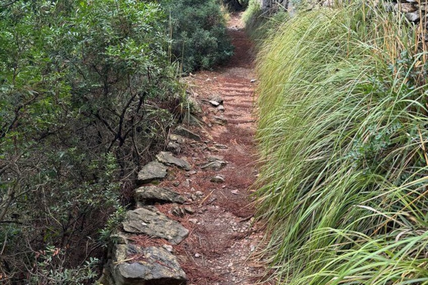 Trekking an Island of Palmaria 3