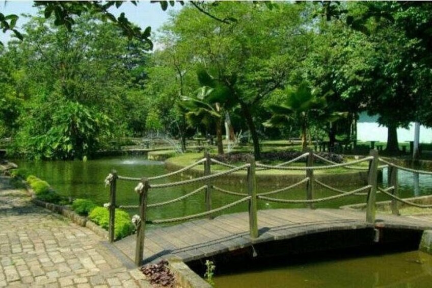 A wooden bridge over a pond, surrounded by lush greenery and trees. 3