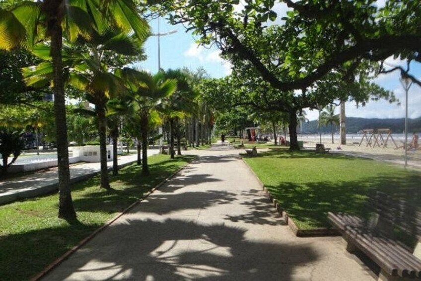 A tree-lined pathway with benches and a grassy area. 2