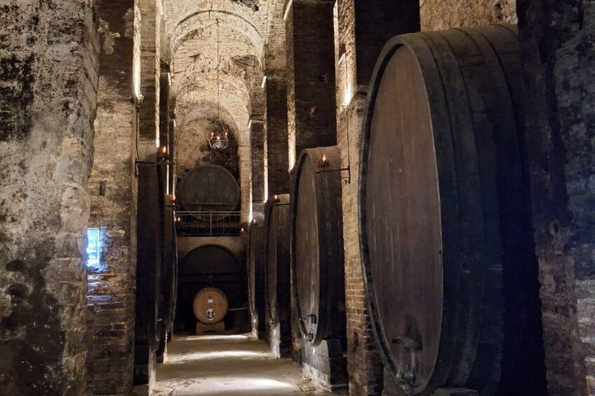 Tasting Tour in One of The Most Beautiful Cellars in the World 2