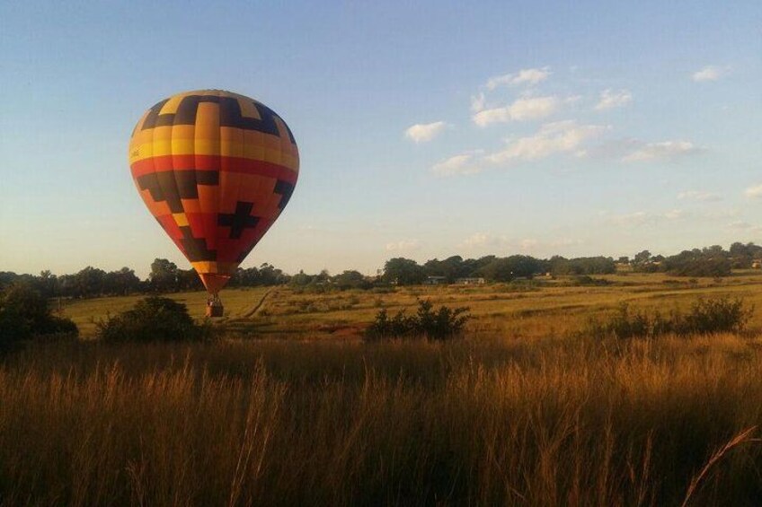 A hot air balloon in a grassy field with trees in the background. 1