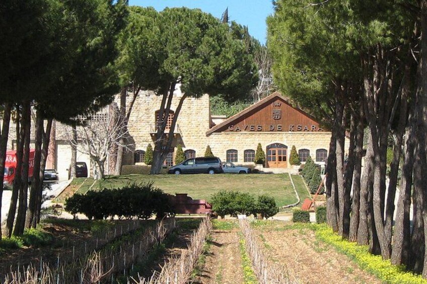 Lebanon Wine Tasting Tour From Beirut (Entrance Fee Included) 5