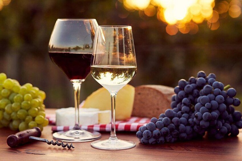 Wine tasting 2