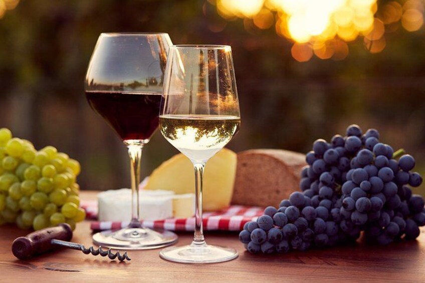 Wine tasting 2
