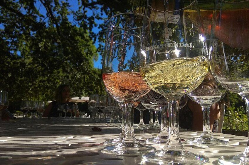 Cape Town Wine Tour: Stellenbosch & Franschhoek +Tastings & Lunch 4