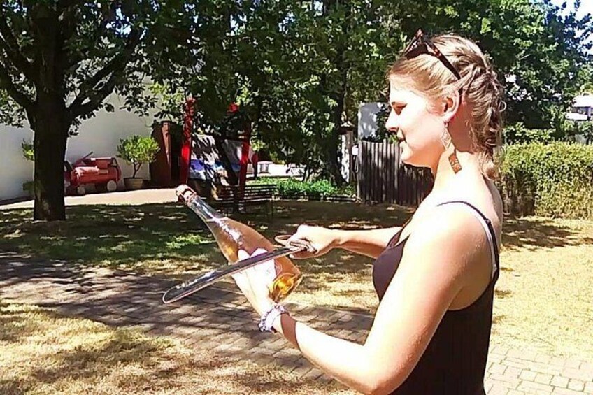 Cape Town Wine Tour: Stellenbosch & Franschhoek +Tastings & Lunch 2