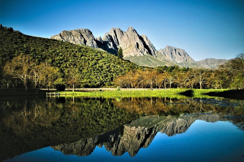 Cape Town Wine Tour: Stellenbosch & Franschhoek +Tastings & Lunch 3
