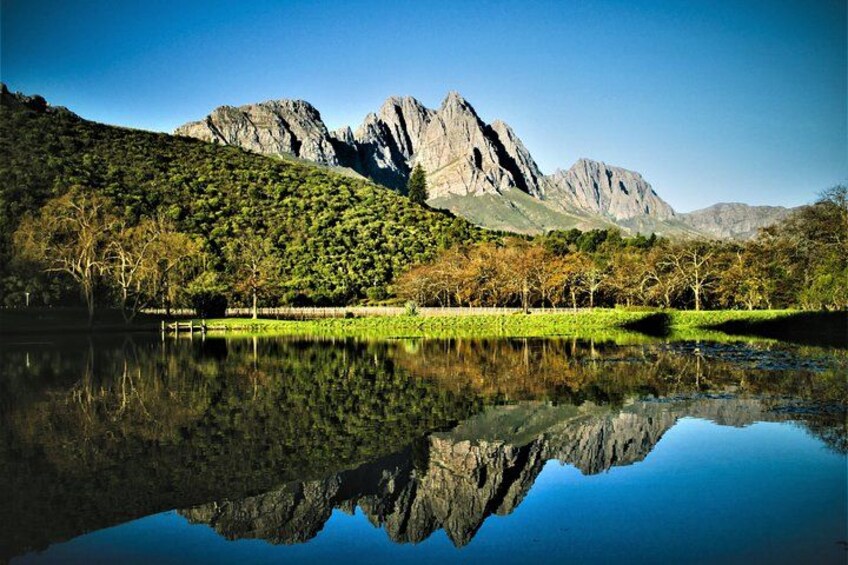 Cape Town Wine Tour: Stellenbosch & Franschhoek +Tastings & Lunch 5