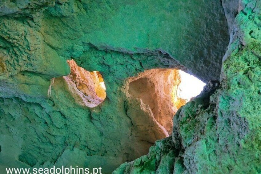 Benagil Cave Boat Tour from Portimão 5