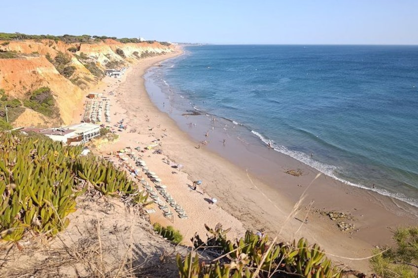 A coastal beach with a cliffside, beach umbrellas, and a clear sky. 2