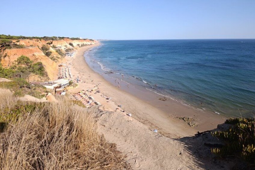 A coastal beach with clear skies, sandy shore, and sparse vegetation. 4
