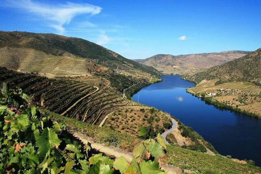 Ein Fluss schlängelt sich durch ein Tal mit terrassenförmig angelegten Weinbergen und Hügeln im Hintergrund. 3