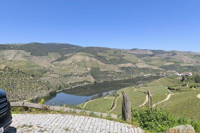 Private Douro Valley Tour from Porto: 3 Wineries & Lunch 2