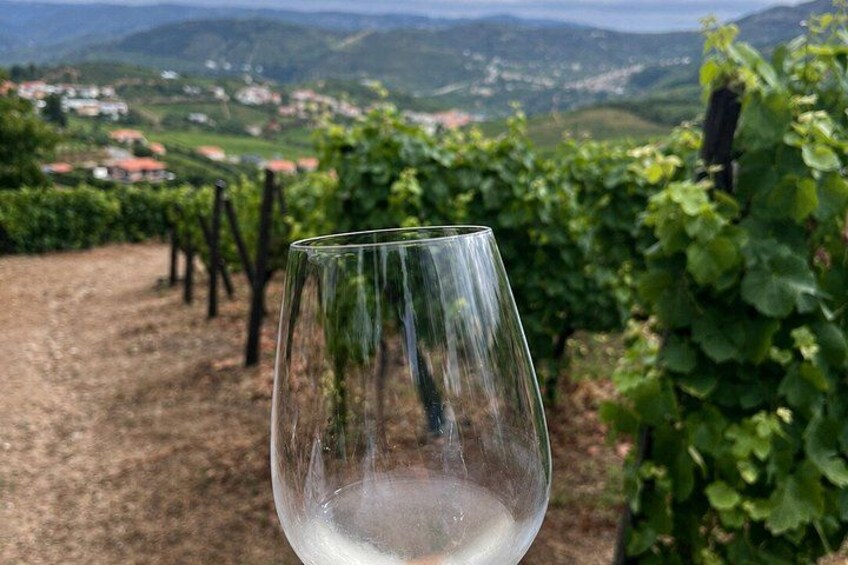 Ein Weinglas im Vordergrund, dahinter ein Weinberg und ferne Hügel. 4