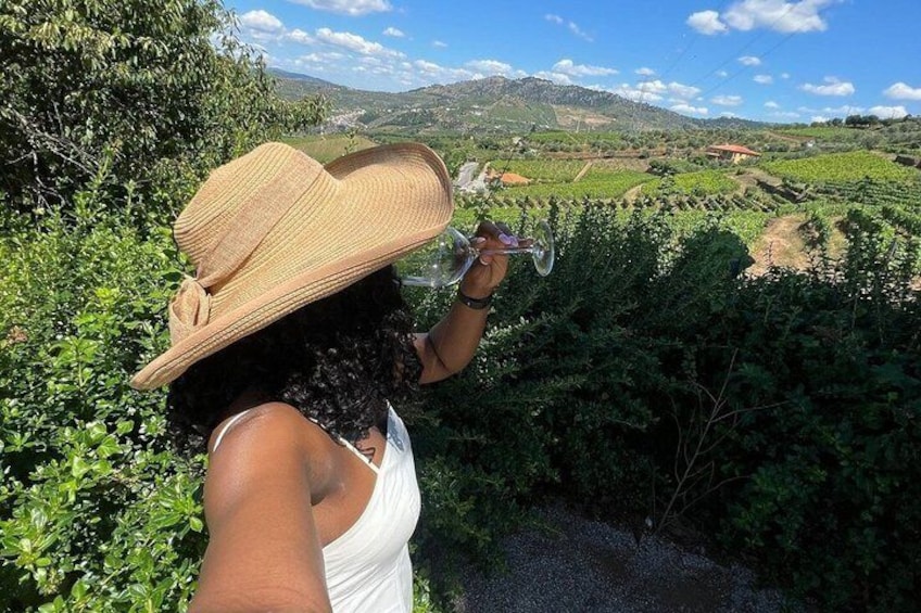 Private Douro Valley Tour from Porto: 3 Wineries & Lunch 1