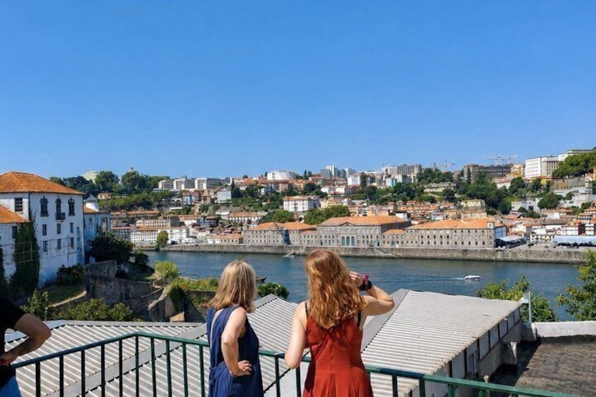 Porto: Small-Group Port & Douro Wine Tour with 9 Tastings 3
