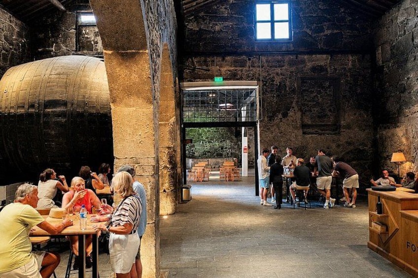 Porto: Small-Group Port & Douro Wine Tour with 9 Tastings 3