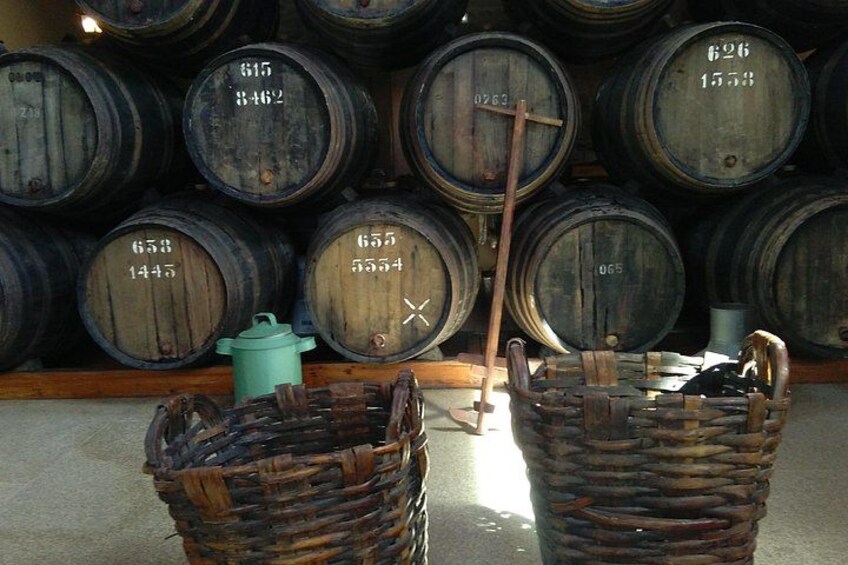 Douro Valley Small-Group Wine Tour: 2 Wineries, Cruise & Lunch 4