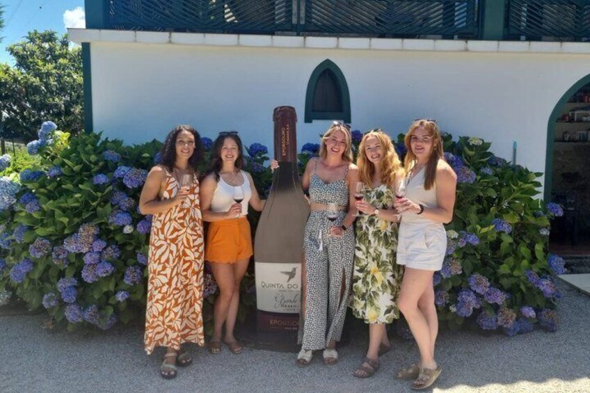 Small-Group Douro Valley Tour: 3 Wineries & Winery Lunch 3