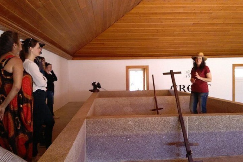 Small-Group Douro Valley Tour: 3 Wineries & Winery Lunch 3