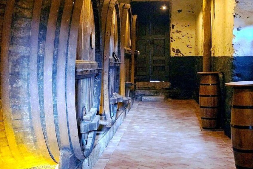 Small-Group Douro Valley Tour: 3 Wineries & Winery Lunch 5