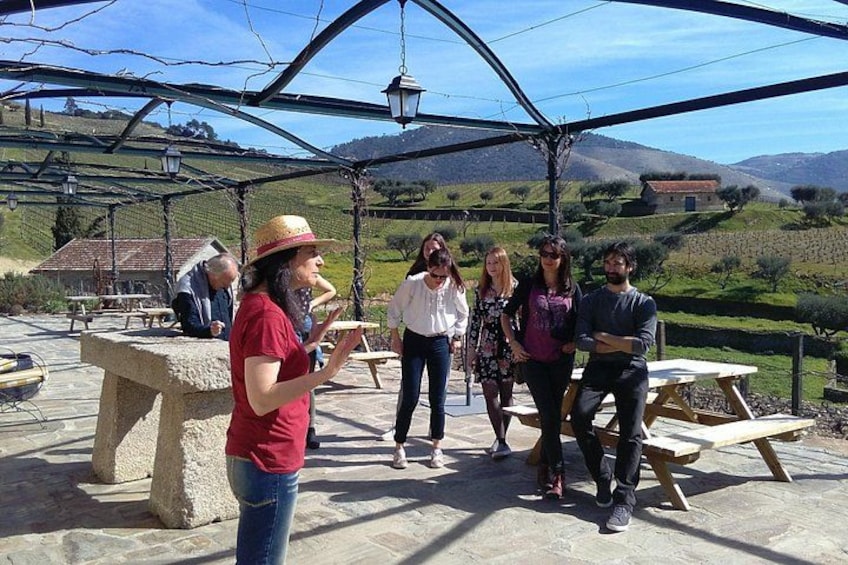 Small-Group Douro Valley Tour: 3 Wineries & Winery Lunch 2