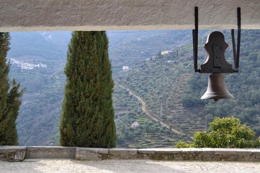 Small-Group Douro Valley Tour: 3 Wineries & Winery Lunch 3