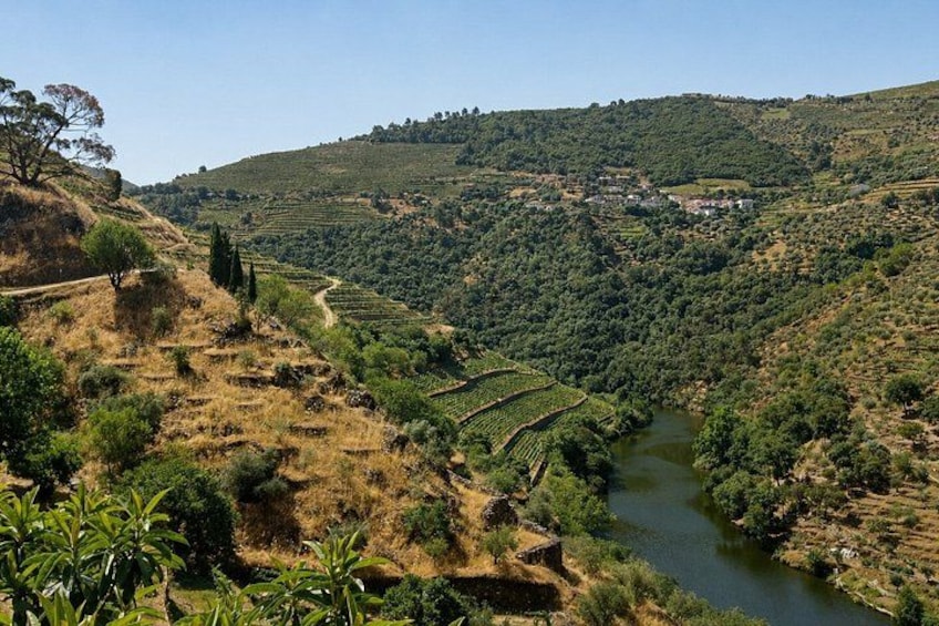 Small-Group Douro Valley Tour: 3 Wineries & Winery Lunch 2