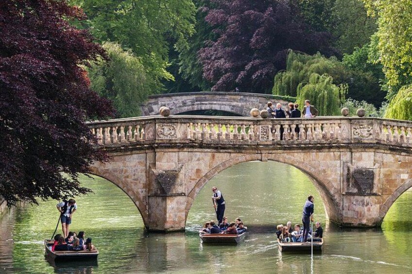 Punting Tour in Cambridge 3