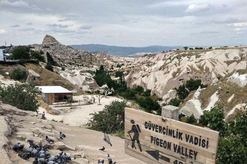 En skylt som visar vägen till Pigeon Valley, ett bergigt landskap med en liten byggnad och fåglar som flyger omkring. 3