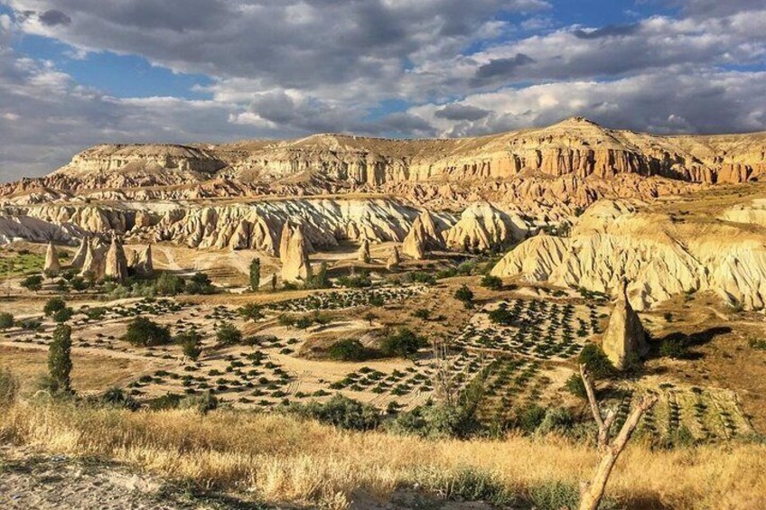 A desert landscape with prominent rock formations and sparse vegetation. 5