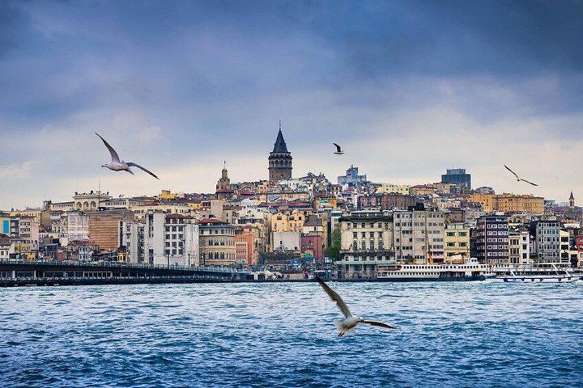 A city skyline with a prominent tower, a waterfront, and seagulls flying over the water. 5