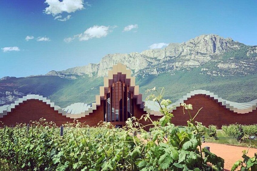 Architectural Rioja Wine Tour: Marqués de Riscal & Ysios (Bilbao) 3