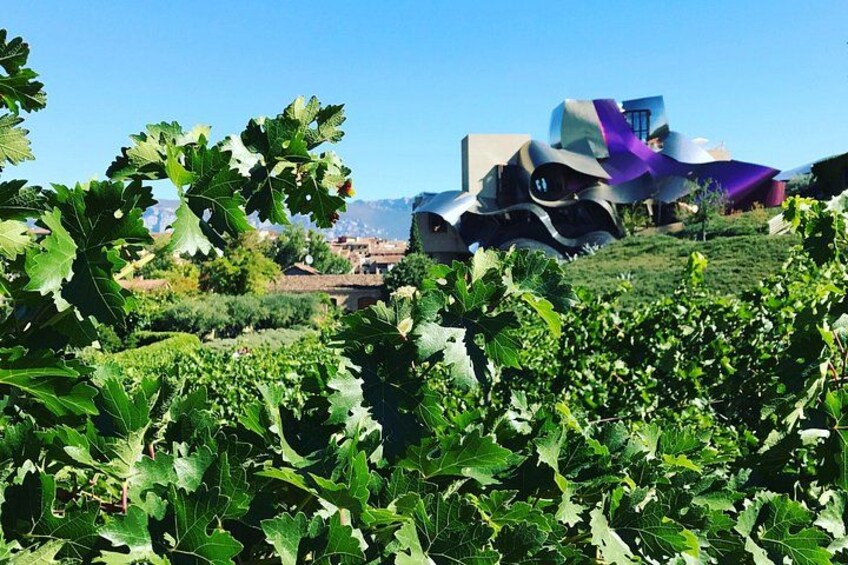 Architectural Rioja Wine Tour: Marqués de Riscal & Ysios (Bilbao) 3