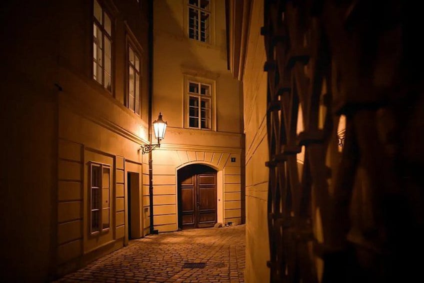 A cobblestone street at night with a lit lamp post and a wooden door. 4