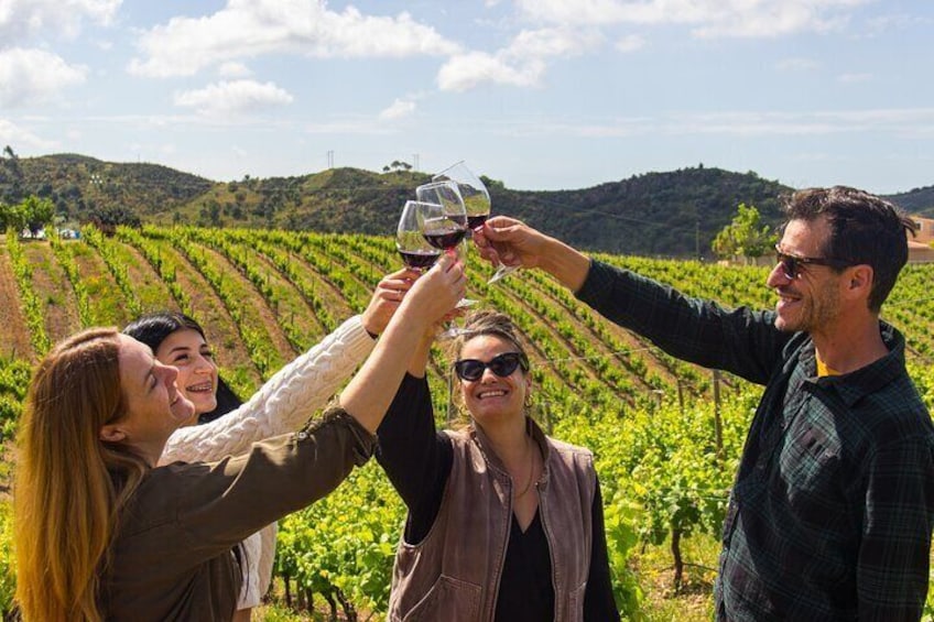 Un groupe de personnes trinquant avec des verres de vin dans un vignoble. 1
