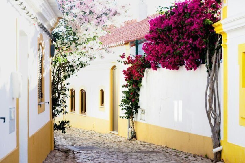 Albufeira Wine Tasting: Boutique Winery Tour & Historic Silves 3
