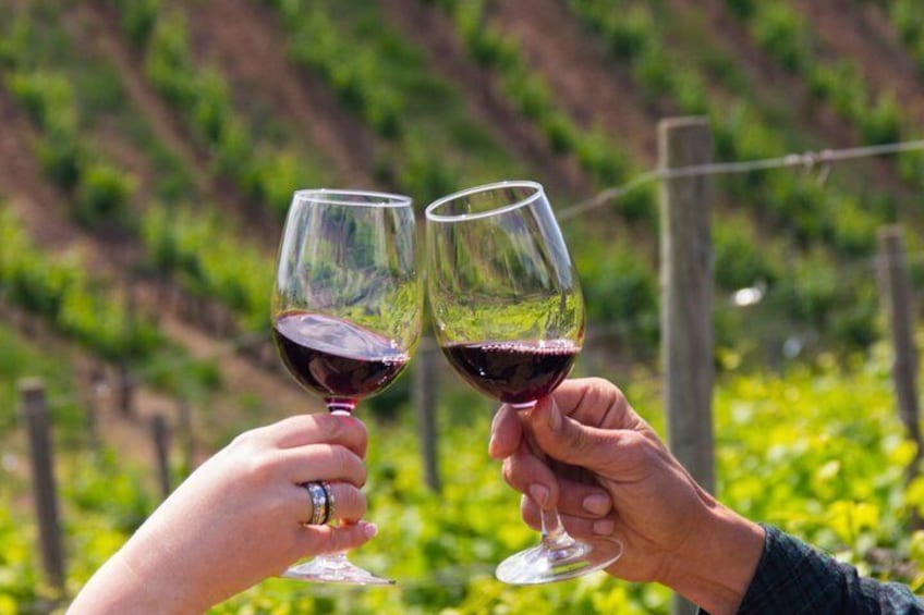 Albufeira Wine Tasting: Boutique Winery Tour & Historic Silves 3