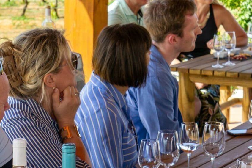 Albufeira Wine Tasting: Boutique Winery Tour & Historic Silves 4