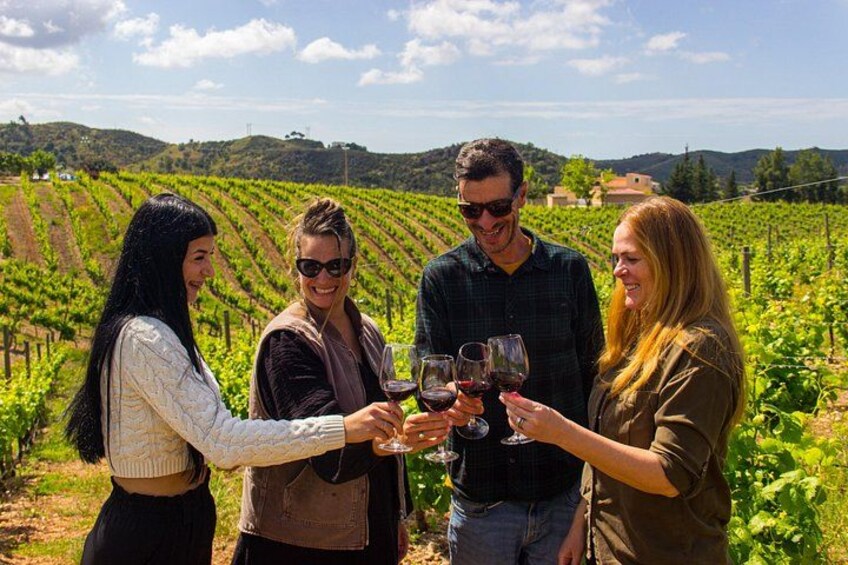 Albufeira Wine Tour: 2 Vineyards, 6 Tastings & Historic Silves 3