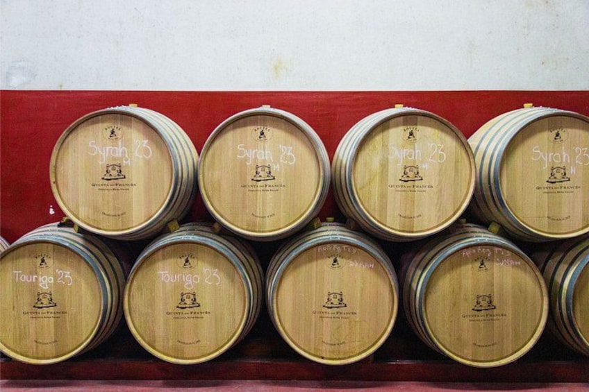 Albufeira Wine Tour: 2 Vineyards, 6 Tastings & Historic Silves 2