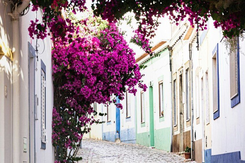 Albufeira Wine Tour: 2 Vineyards, 6 Tastings & Historic Silves 4