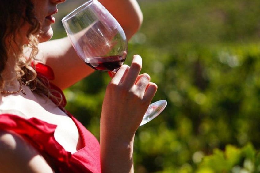 Albufeira Wine Tour: 2 Vineyards, 6 Tastings & Historic Silves 2
