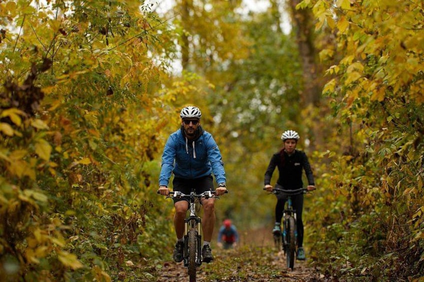 Two cyclists on a forest trail surrounded by autumn foliage. 1