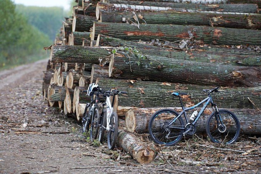 A dirt road with a stack of logs and two bicycles leaning against the logs. 2