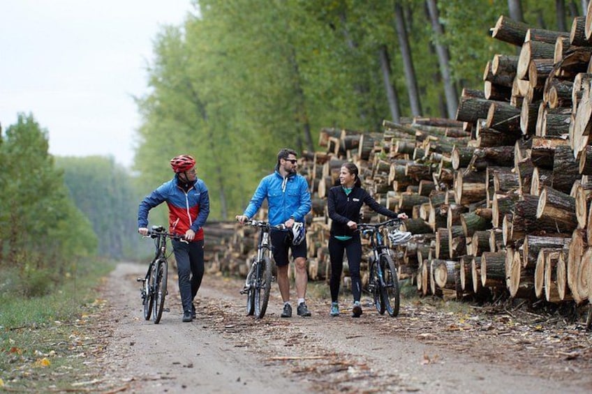 Three cyclists on a dirt path with a stack of logs on the right. 4