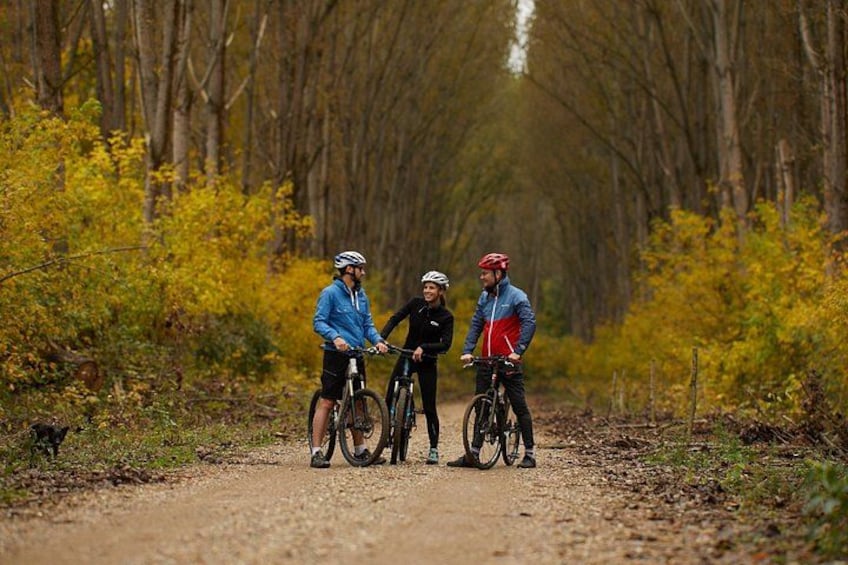 Drie fietsers op een bospad, omringd door bomen. 1
