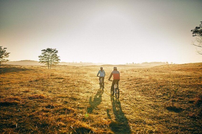 Two people riding bicycles on a grassy field with a tree in the background. 1