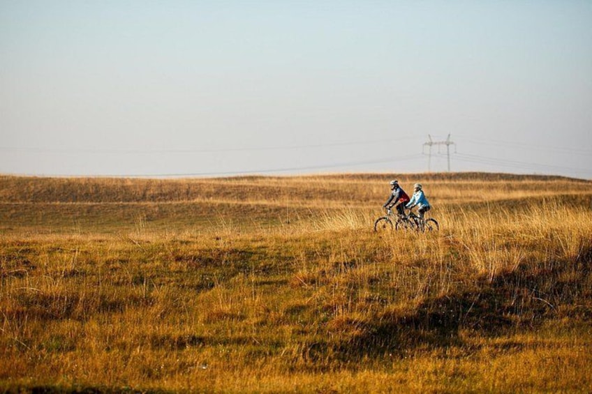 Two cyclists on a grassy field with power lines in the background. 4