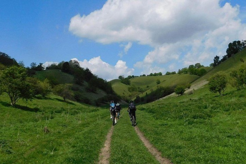 A hiker and a cyclist on a grassy trail in a hilly landscape. 5